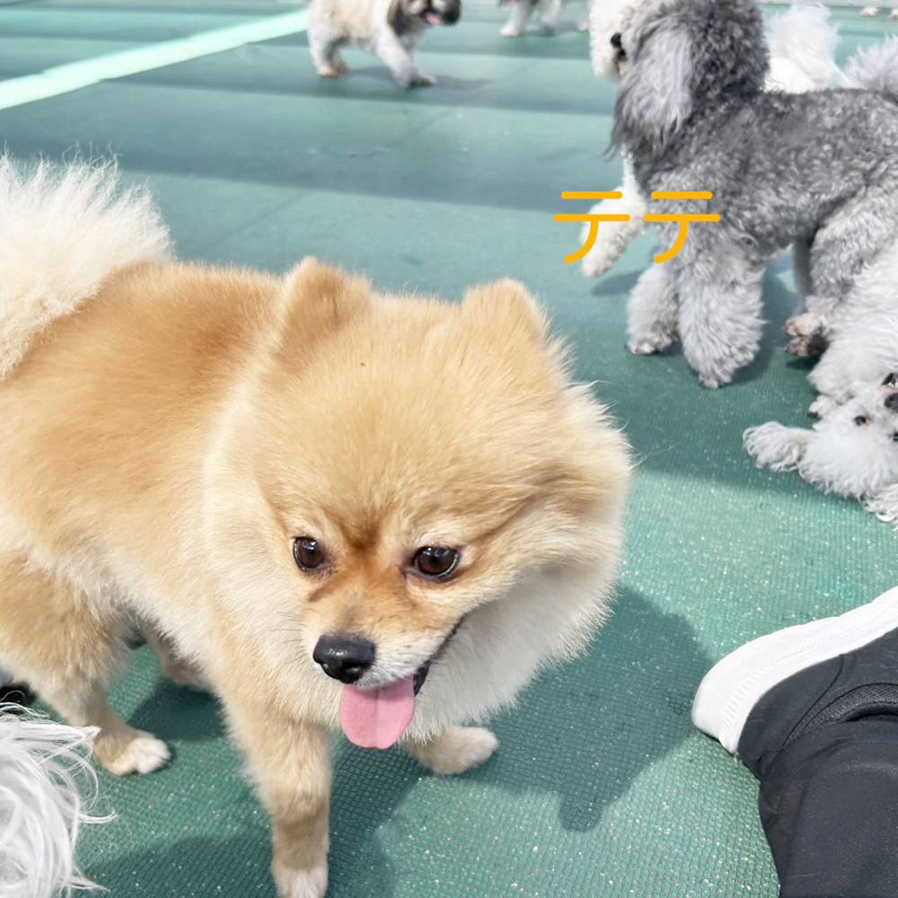 生徒が撮影した写真☆☆☆①